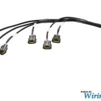 Wiring Specialties RB25DET Series 2 Smart Coil Pack Harness