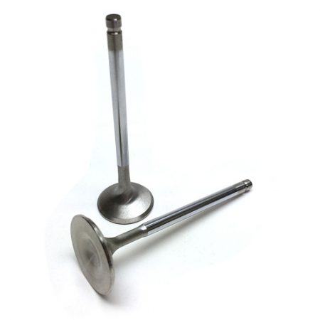 Brian Crower TB48 Exhaust Valves | BC3251