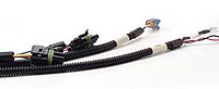 FAST GM Main Wiring Harnesses (301100)