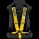 Braum 6pt Racing Harness – FIA Approved