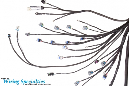 Wiring Specialties LS3 Gen IV 58x DBW Wiring Harness for BMW E46 – CANBUS PRO SERIES