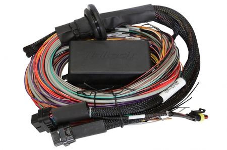 Haltech Elite 1500 Premium Universal Wire-in Harness