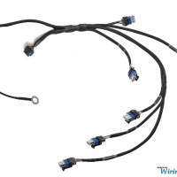 Wiring Specialties GM LQ9 Smart Coil Conversion Harness for 1JZGTE / 2JZGTE VVTi