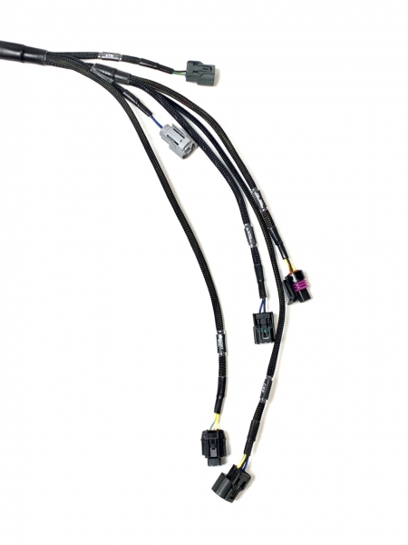 Wiring Specialties Honda K-Series Wiring Harness for RWD Nissan 370Z – CANBUS PRO SERIES