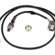 Haltech Wideband O2 Dual Channel Gauge Black Bezel w/White LED Display