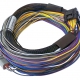 Haltech Elite 750 8ft Premium Universal Wire-In Harness