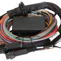 Haltech Elite 2500 & 2500 T 8ft Premium Universal Wire-In Harness