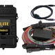 Haltech Elite 1500 Basic Universal Wire-In Harness ECU Kit