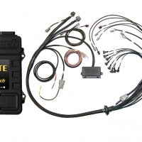 Haltech V8 BB/SB GM/Ford/Chrysler Elite 2500 Terminated Harness ECU Kit w/EV1 Inj Connectors