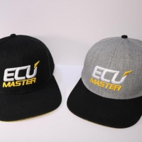 ECU Master Embroidered Snapback Hat