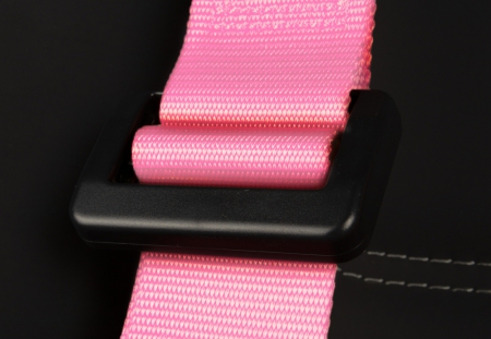 Braum 4 PT – Racing Harness 2” Strap (Pink)