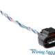 Wiring Specialties 2JZ VVTI 4-pin O2 Sensor (Oxygen) Connector
