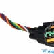Wiring Specialties K20 Coil Pack Connector