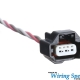 Wiring Specialties VQ35 F1 Connector – 9 pin