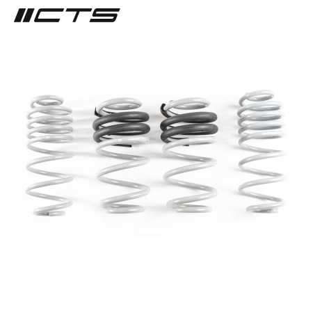 CTS Turbo B8 AUDI A4/S4 LOWERING SPRINGS